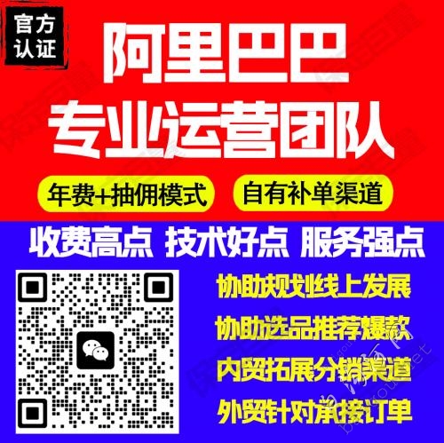 专业阿里运营团队