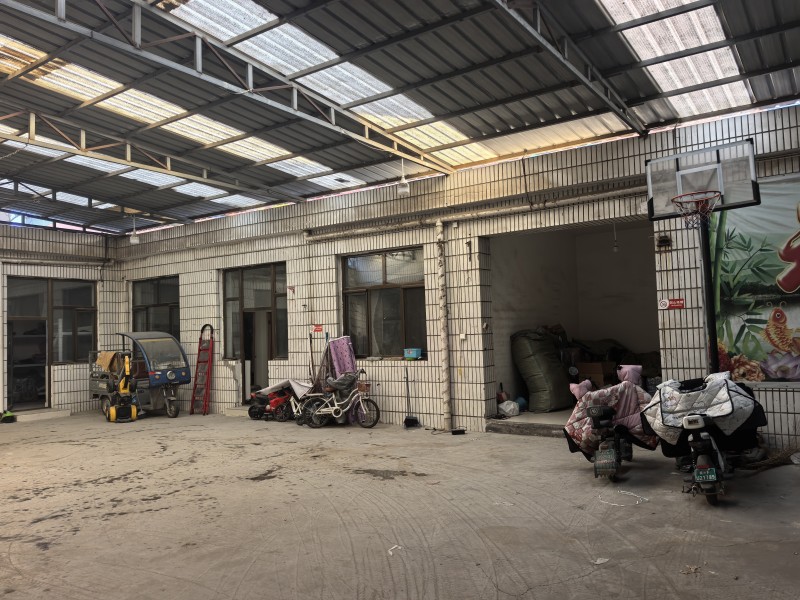 ���Ŷ�Ժ���⡫�����Ǹ���