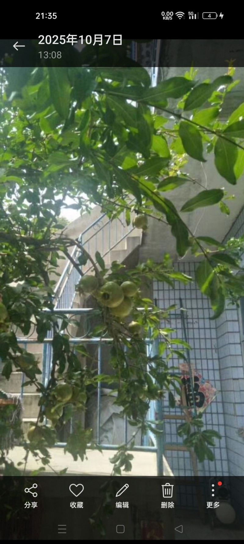 �ʺ�ׯ�巿�ݣ��ʺ������ⷿ